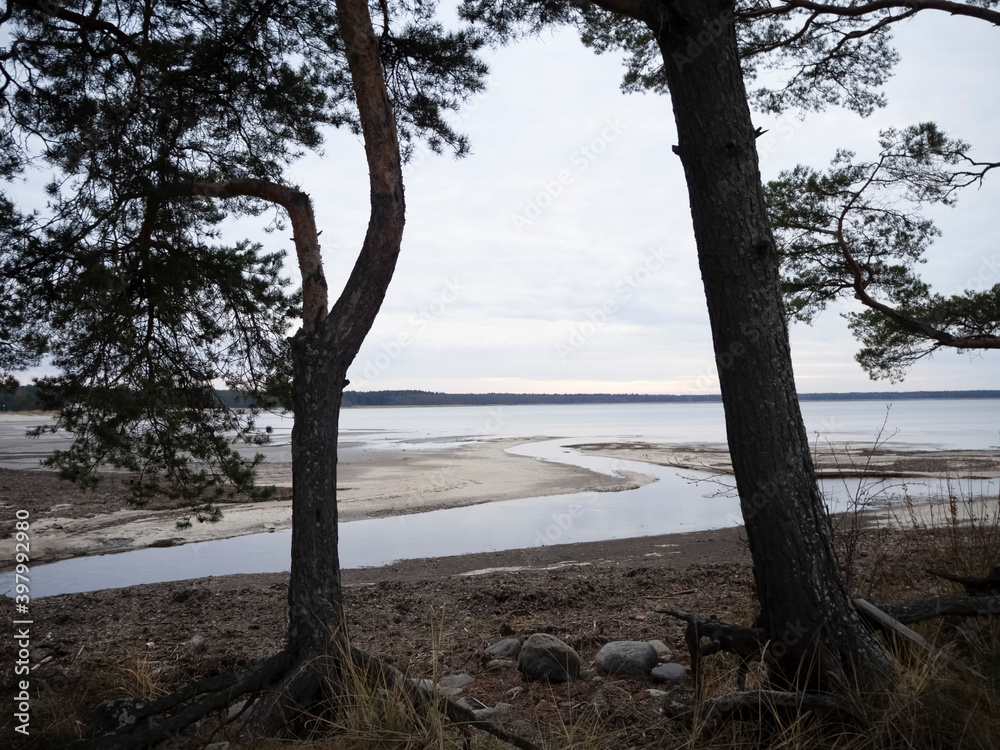 Baltic gray sea, autumn, promenade Baltic gray sea, autumn, promenade