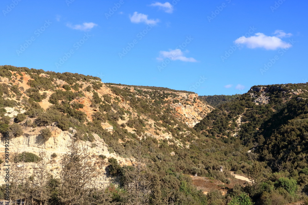 view on Avakas Gorge with steep rocks and river on bottom. Akamas peninsula, Cyprus.