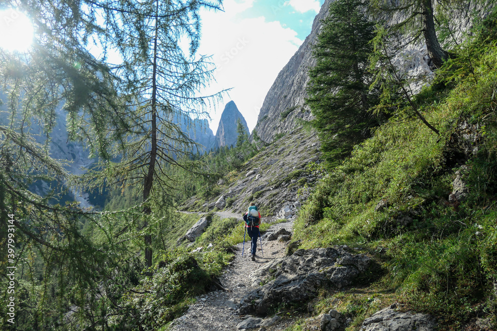 A woman with big hiking backpack hiking in high Italian Dolomites. There are many sharp peaks behind. She walks on a very narrow pathway. There are a few trees around. Sunny day. Outdoor exeercising