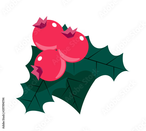 Christmas holly berry with leaf isolated on white background