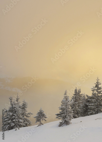 A soft sunrise over a snow-covered mountain slope.