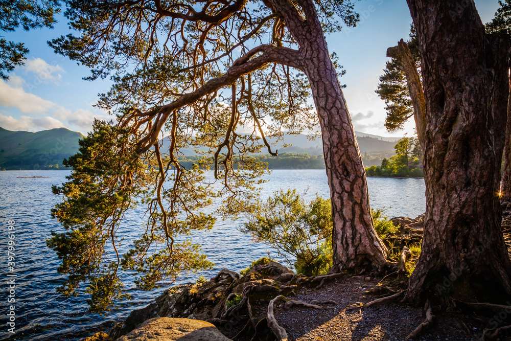 On the shore of Derwent water in Keswick, Lake district, Cumbria, United Kingdom On the shore of Derwent water in Keswick, Lake district, Cumbria, United Kingdom
