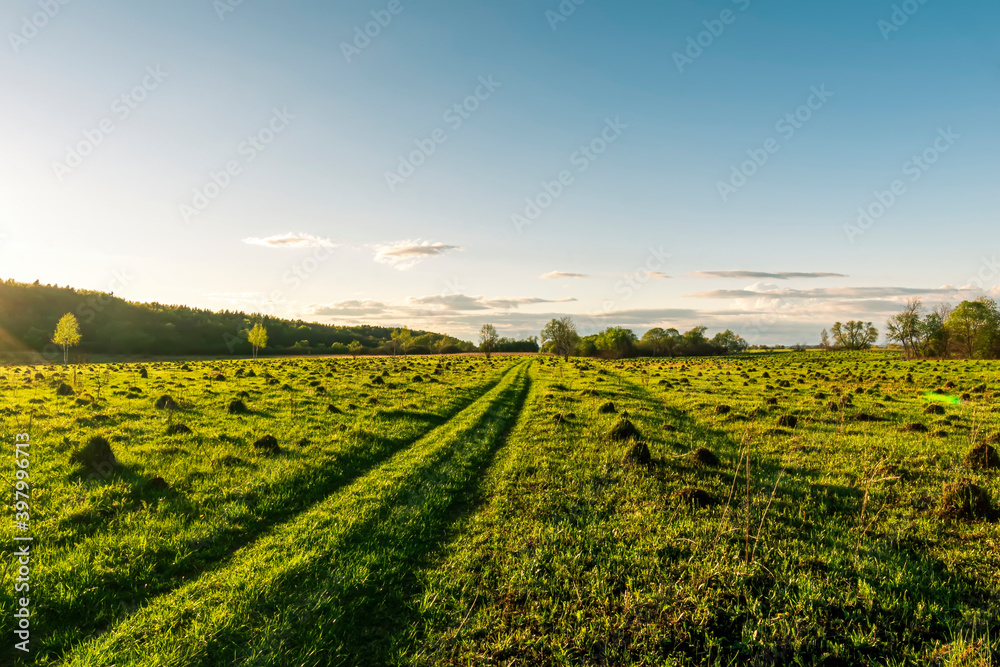 Scenic view at beautiful spring sunset in a green shiny field with green grass and golden sun rays, deep blue cloudy sky , trees and