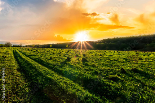Scenic view at beautiful spring sunset in a green shiny field with green grass and golden sun rays  deep blue cloudy sky   trees and
