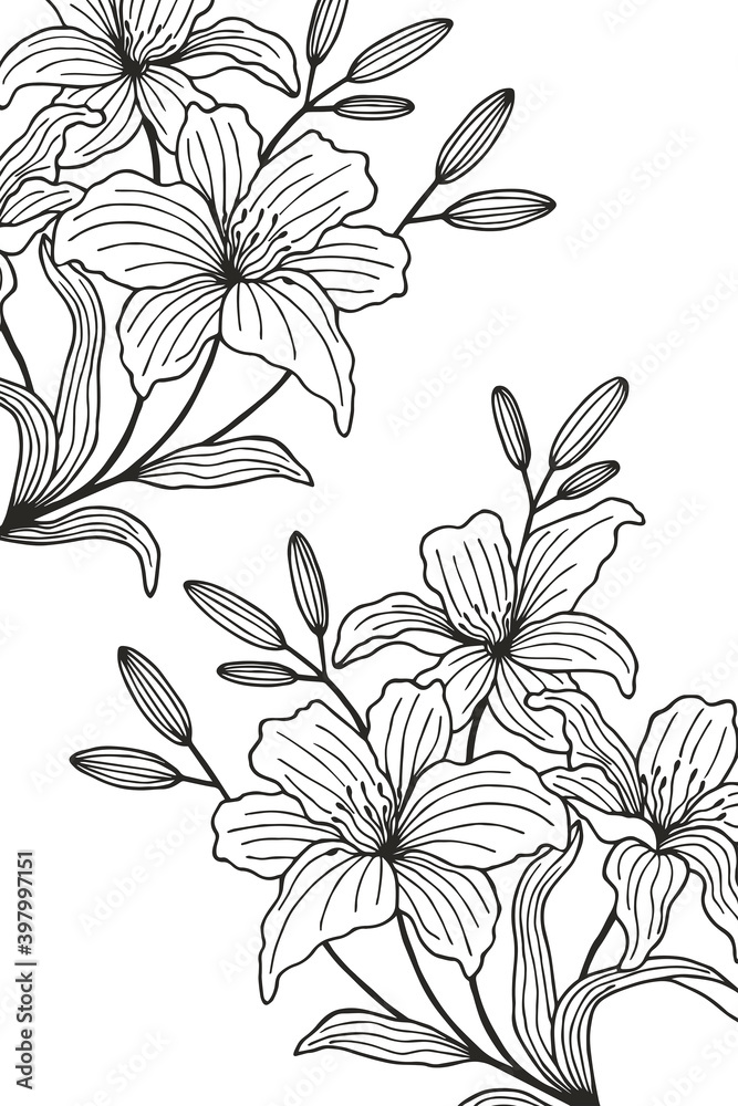 frame with lilies. JPG frame with lilies. JPG
