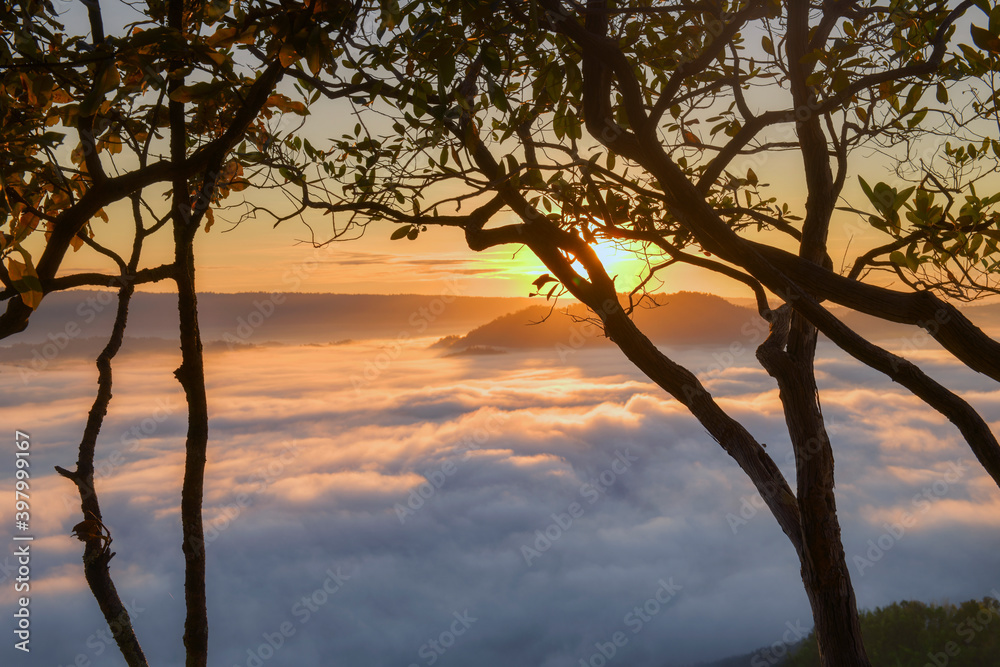 mist on mountian at sunrise