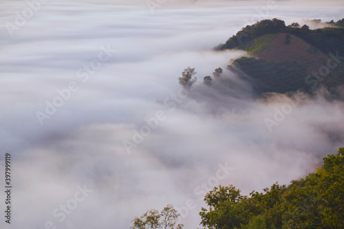 mist on mountian at sunrise © saravut