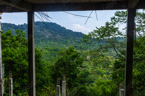 green jungle view from balcony