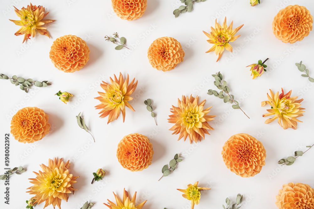 Fototapeta premium Beautiful orange dahlia flower buds and eucalyptus branches pattern on white background. Flat lay, top view minimalistic still life creative floral texture.