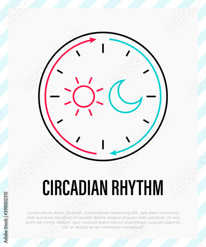 Circadian rhythm thin line icon. Sleep regulation by hormones. Vector illustration.