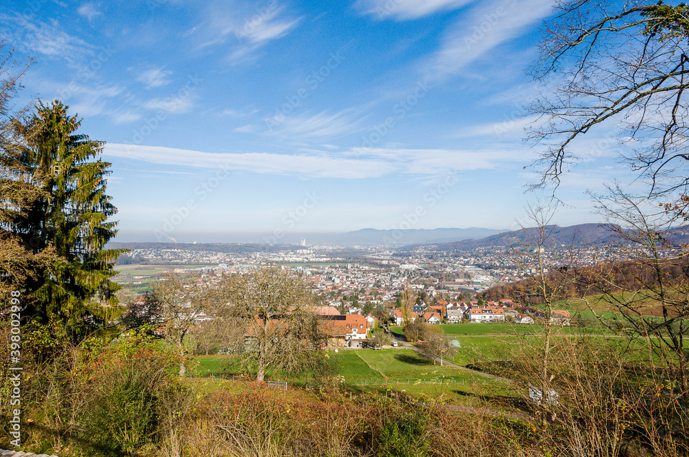 Aesch, Birseck, Klus, Weinberge, Pfeffingen, Rebbergweg, Ruine, Burg, Baselland, Wanderweg, Aussichtspunkt, Landwirtschaft, Winter, Schweiz, Nordwestschweiz