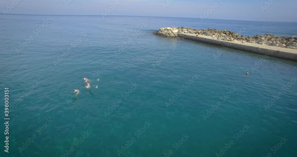 Drone view of a rock breakwater on the green and calm Caribbean Sea