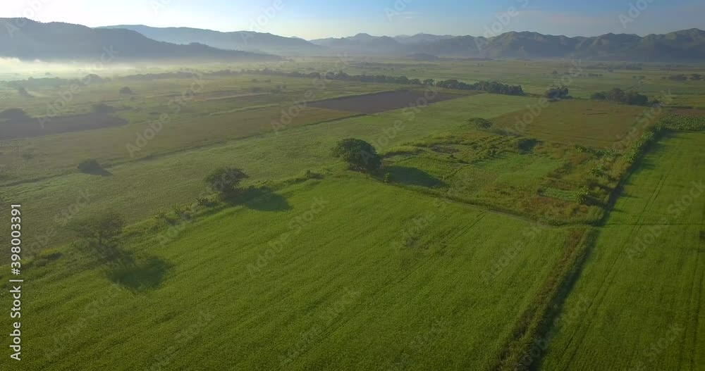 Drone view of a beautiful green field and trees during the dawn with some mist Drone view of a beautiful green field and trees during the dawn with some mist