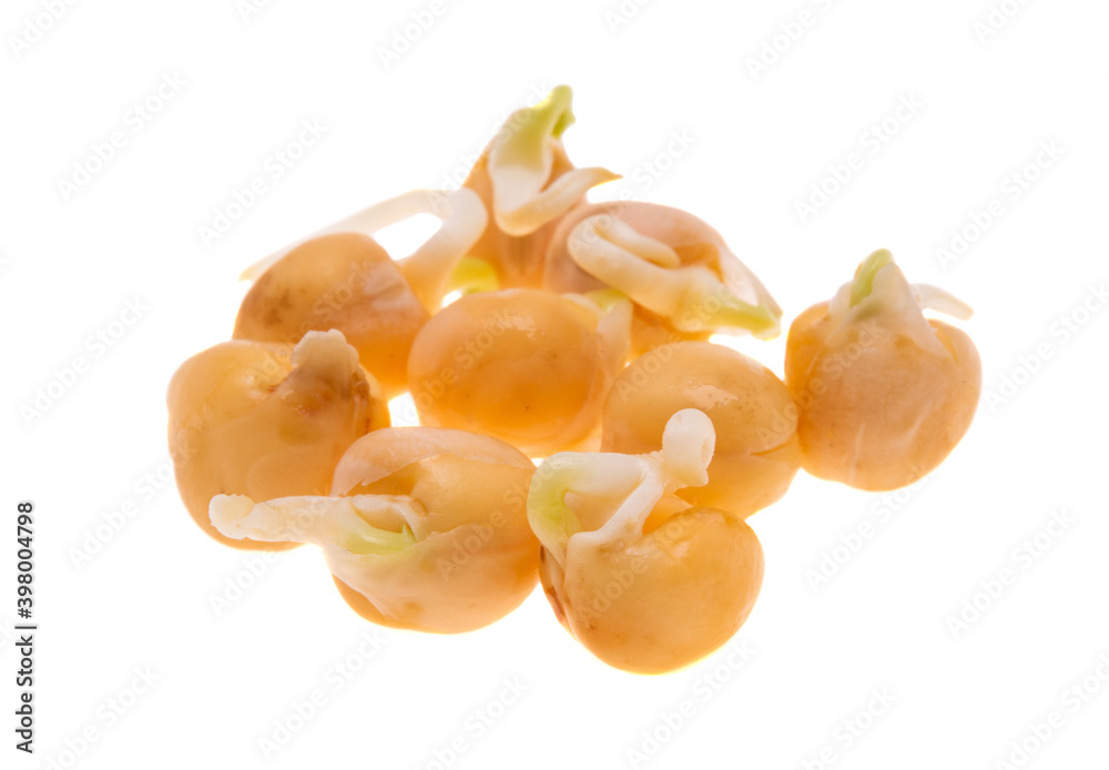 sprouted beans isolated sprouted beans isolated