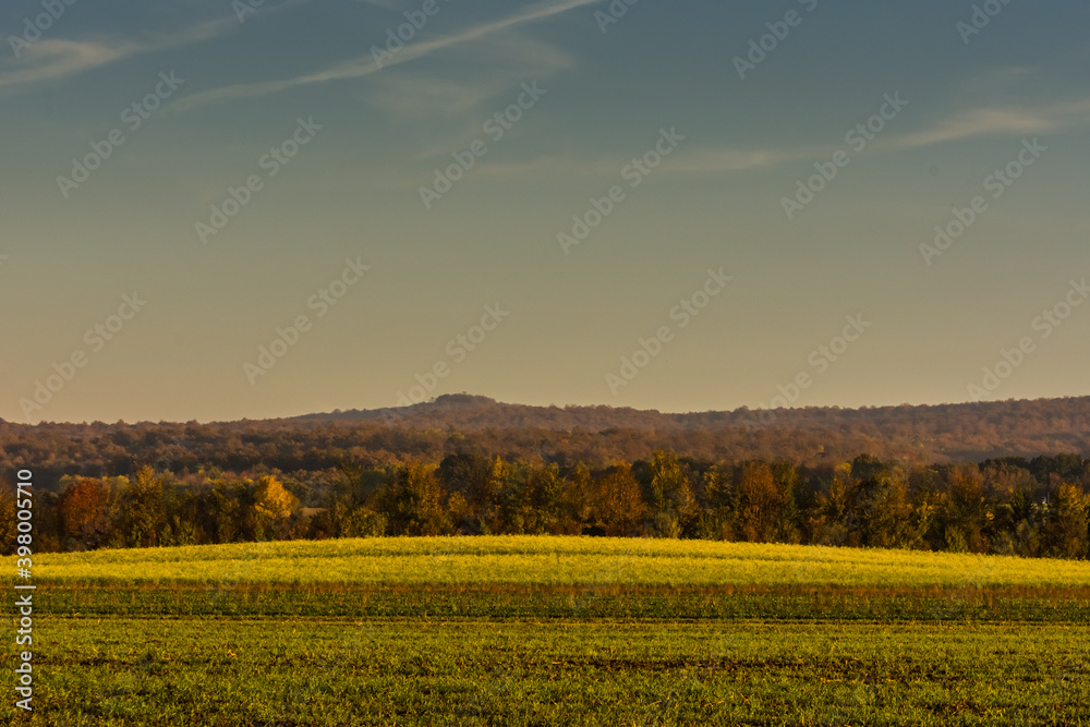 green fields with colorful trees in autumn