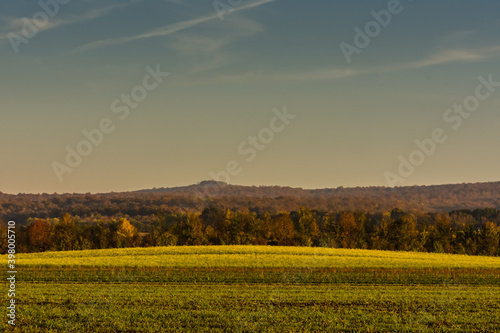 green fields with colorful trees in autumn