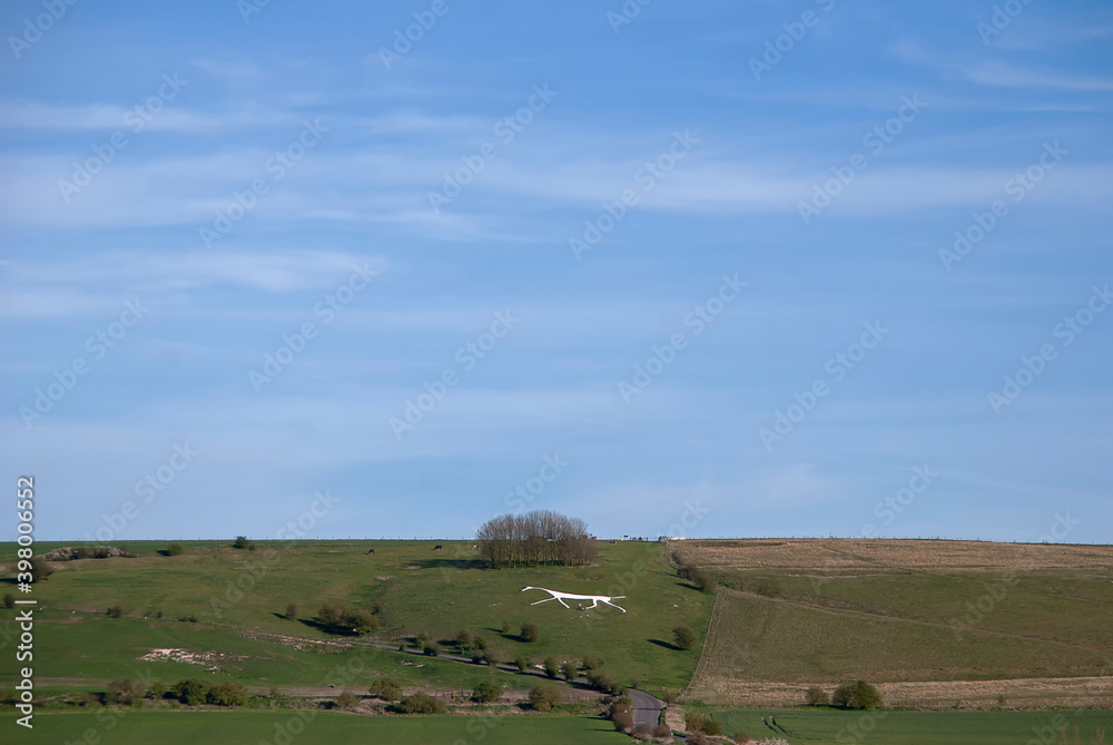 Fototapeta premium The Hackpen White Horse on the Marlborough Downs in Wiltshire, UK
