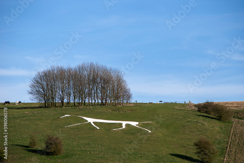 Canvas Print The Hackpen White Horse on the Marlborough Downs in Wiltshire, UK