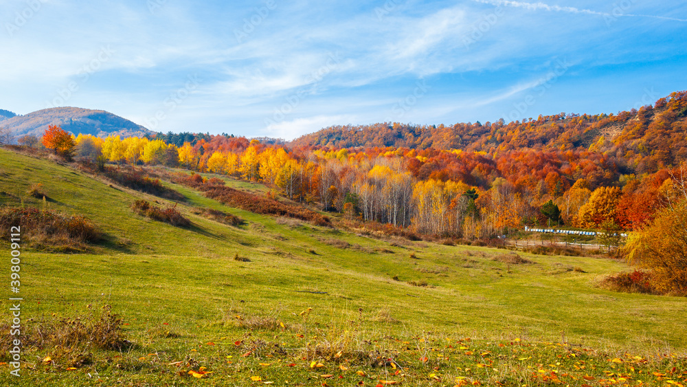 autumn landscape in mountains