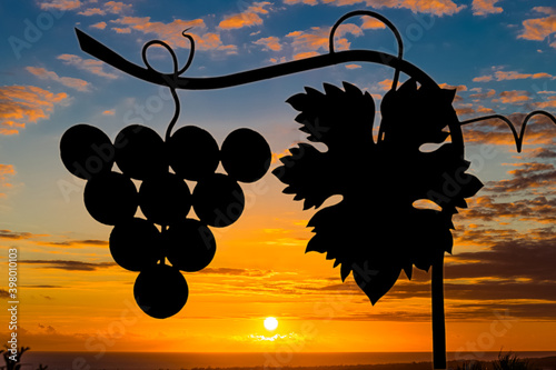 Photos Silhouette enseigne de vigne sur fond de soleil couchant