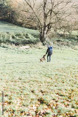 Balade avec boxer et bébé