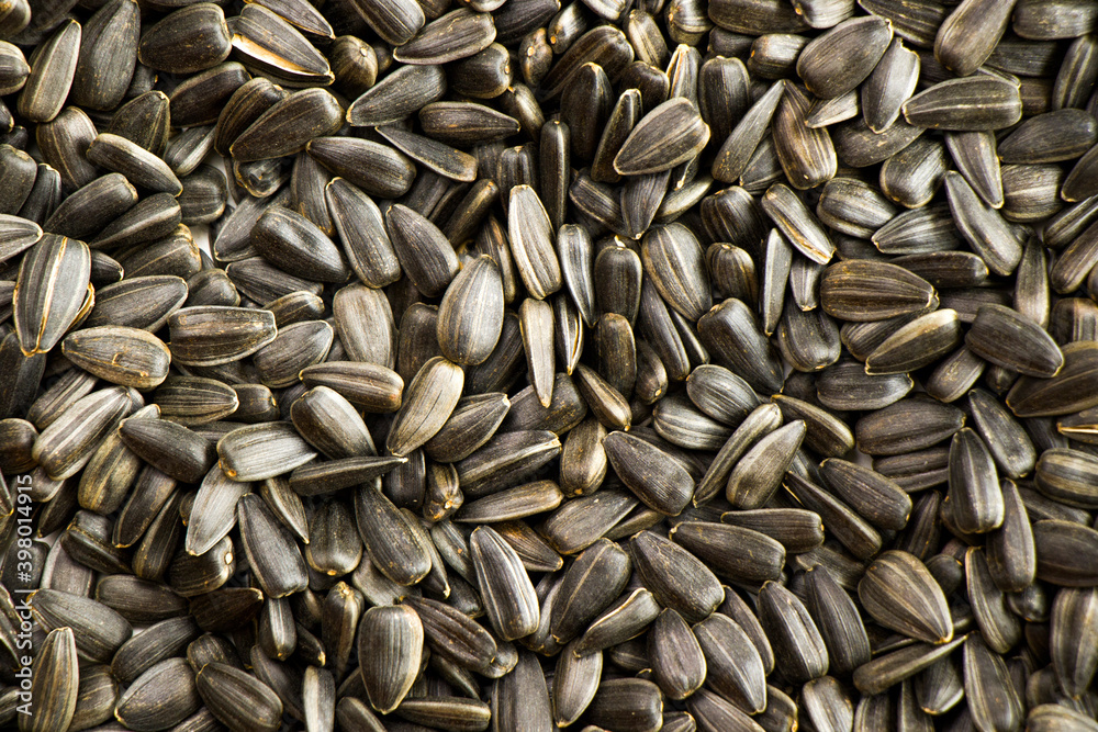Sunflower seeds close-up and macro background Sunflower seeds close-up and macro background