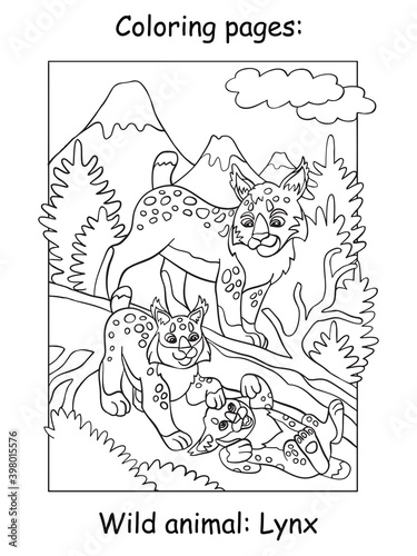 Children coloring book page lynx vector illustration