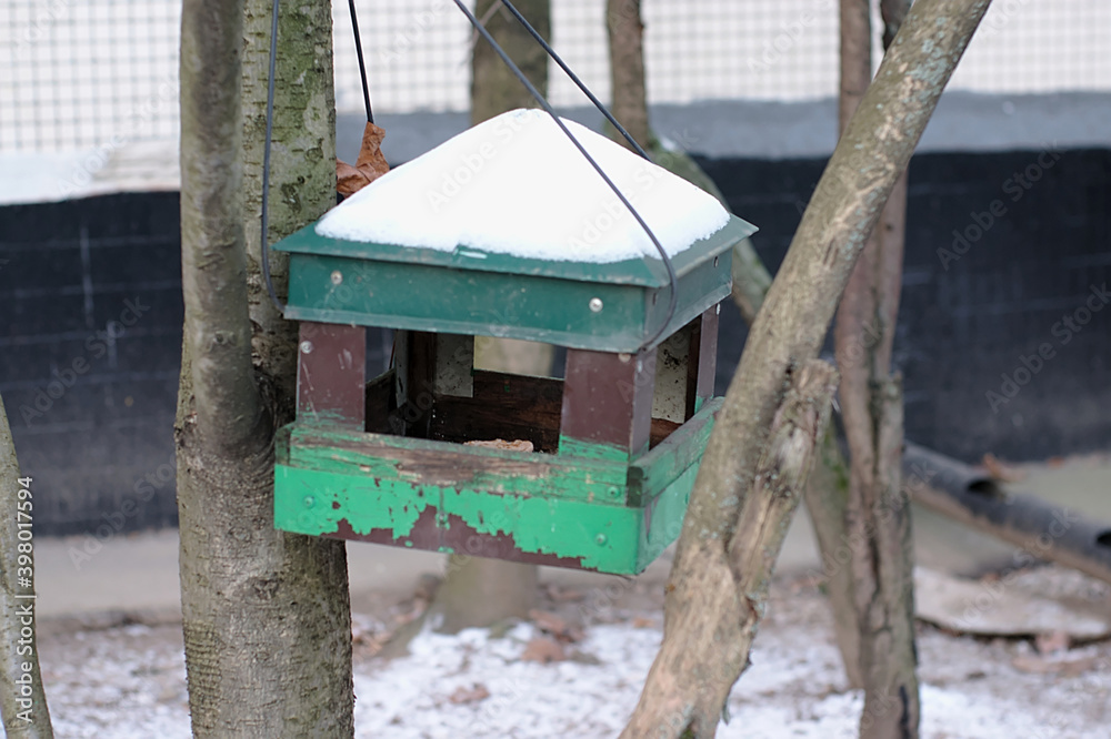 bird feeder on a tree in early winter bird feeder on a tree in early winter