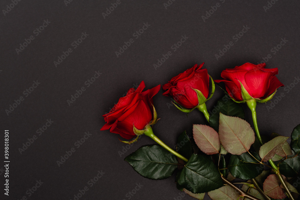top view of red roses isolated on black top view of red roses isolated on black