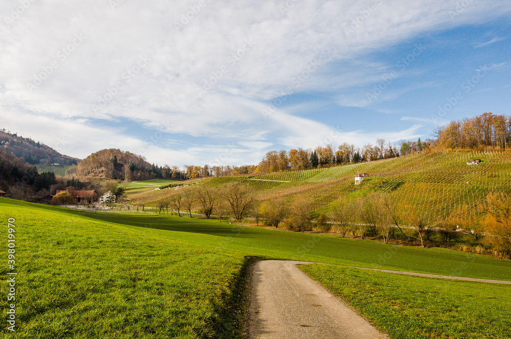 Naklejka premium Aesch, Klus, Weinberge, Rebbergweg, Pfeffingen, Birseck, Baselland, Wanderweg, Landwirtschaft, Winter, Schweiz, Nordwestschweiz