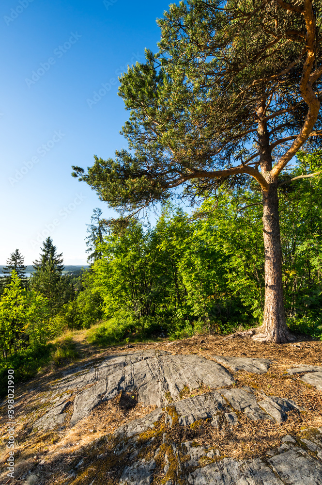 Fototapeta premium Kuhavuori mount in Sortavala