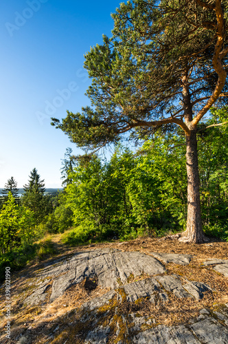 Kuhavuori mount in Sortavala photo