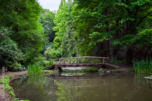 Landscape with small pond with water-lily in a natural park