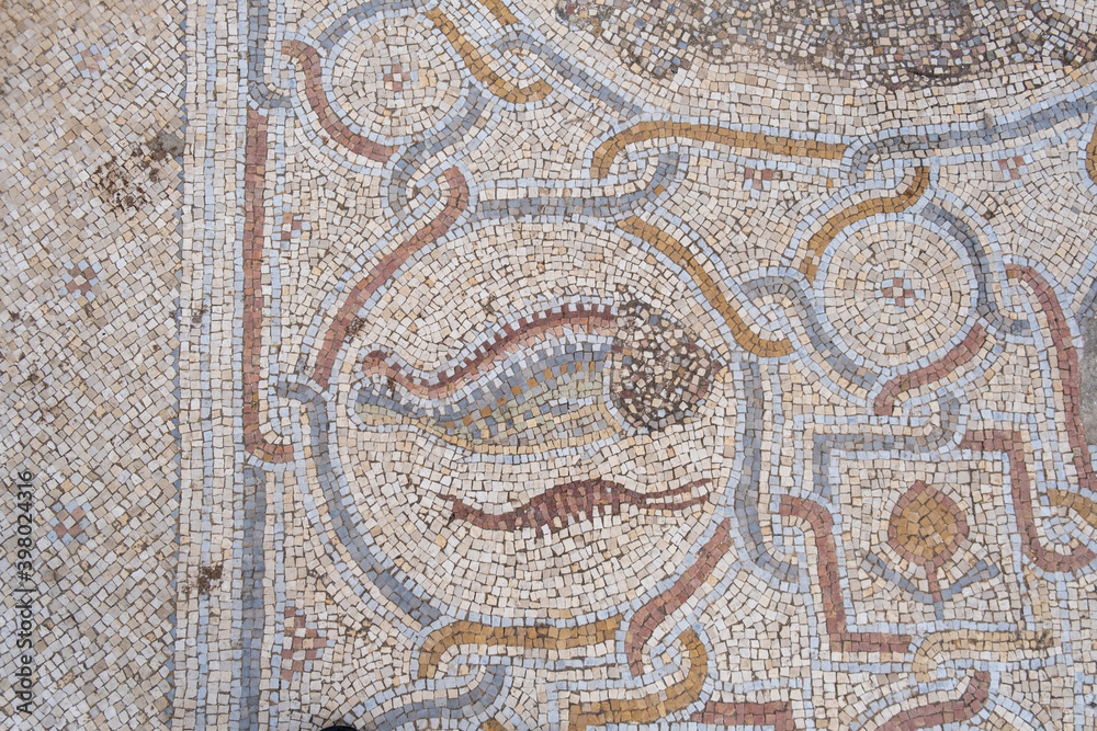 Fragment of Mosaic floor of a Byzantine church. Khirbet Beit Lei or Beth Loya at Judean lowlands Fragment of Mosaic floor of a Byzantine church. Khirbet Beit Lei or Beth Loya at Judean lowlands