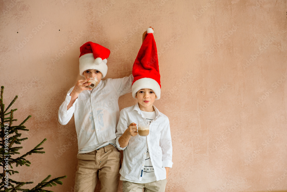 Obraz premium Child under Christmas tree at home. Little boys drink hot chocolate. Family with kids celebrate winter holidays.