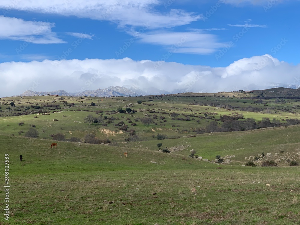 Sierra de Madrid en Invierno