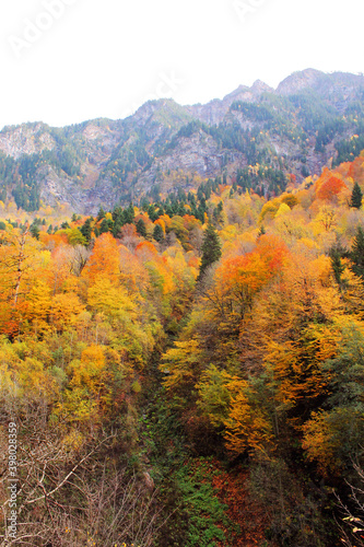 the mountains in the fabulous autumn of Svaneti