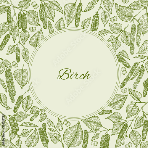 Birch branch with catkins leaves, flowers and seeds. Vector illustration. Background with place for your text. For for cosmetics, beauty products, organic and healthy food packaging, wrapping card.