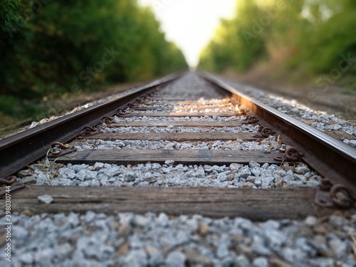 railroad tracks in the forest