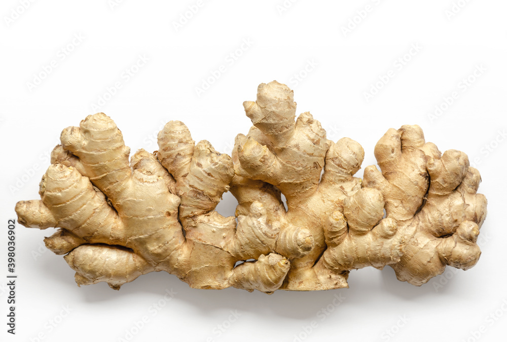 Fresh ginger roots, from above on white background. Juicy and fleshy rhizomes of Zingiber officinale. Used as a fragrant kitchen spice and as a folk medicine. Close-up, top view, macro food photo. Fresh ginger roots, from above on white background. Juicy and fleshy rhizomes of Zingiber officinale. Used as a fragrant kitchen spice and as a folk medicine. Close-up, top view, macro food photo.
