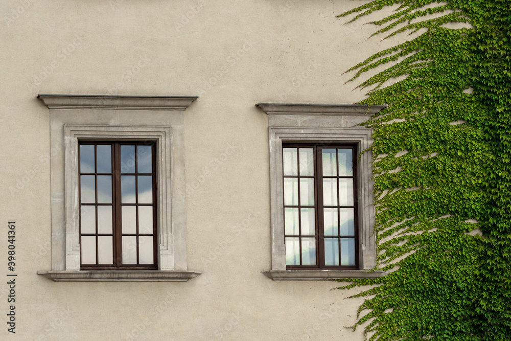 Windows with floral