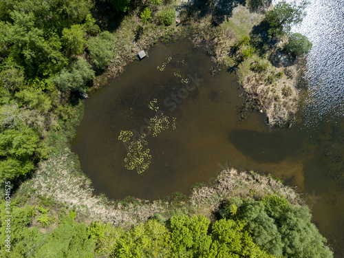 Aerial drone view. River bank on a sunny day.