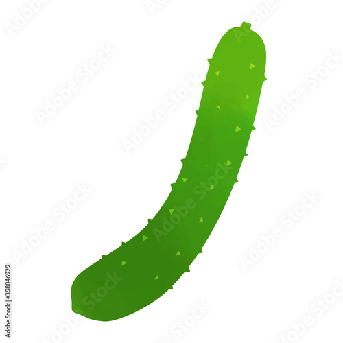 Vector illustration of a fresh cucumber on white background
