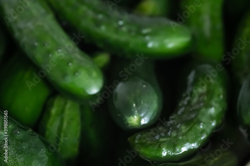 Fresh cucumbers as background or texture