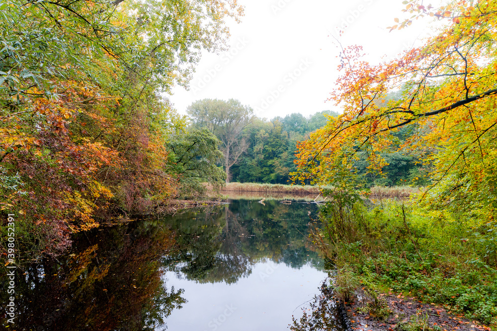 Park the Amsterdamse Bos in Autumn