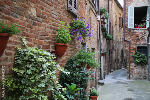 Fototapeta Naklejka Na Ścianę i Meble -  Plants and flowers in an alley of the town of Citta della Pieve, Italy