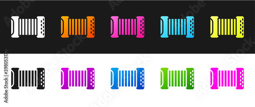 Set Musical instrument accordion icon isolated on black and white background. Classical bayan, harmonic. Vector.