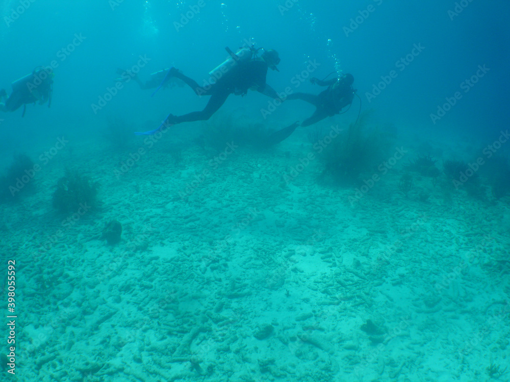 underwater scuba diver , ship Wreck , Caribbean sea