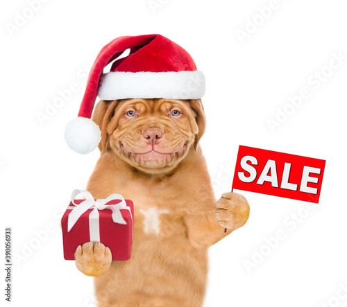 Smiling puppy  wearing a red christmas hat holds sales symbol and gift box. isolated on white background