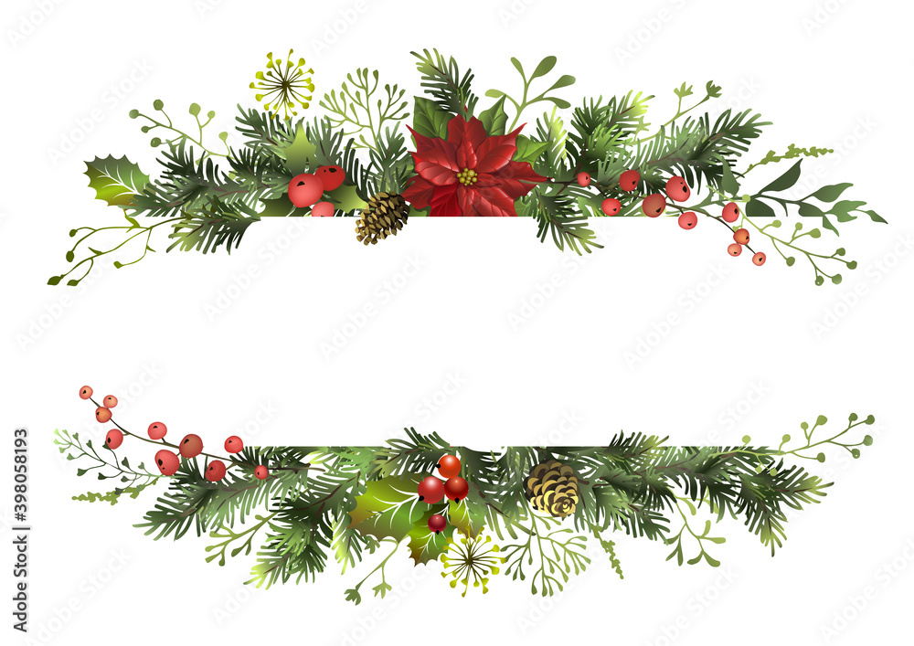 Christmas banner with fir branches, poinsettia flower, holly berry and ...